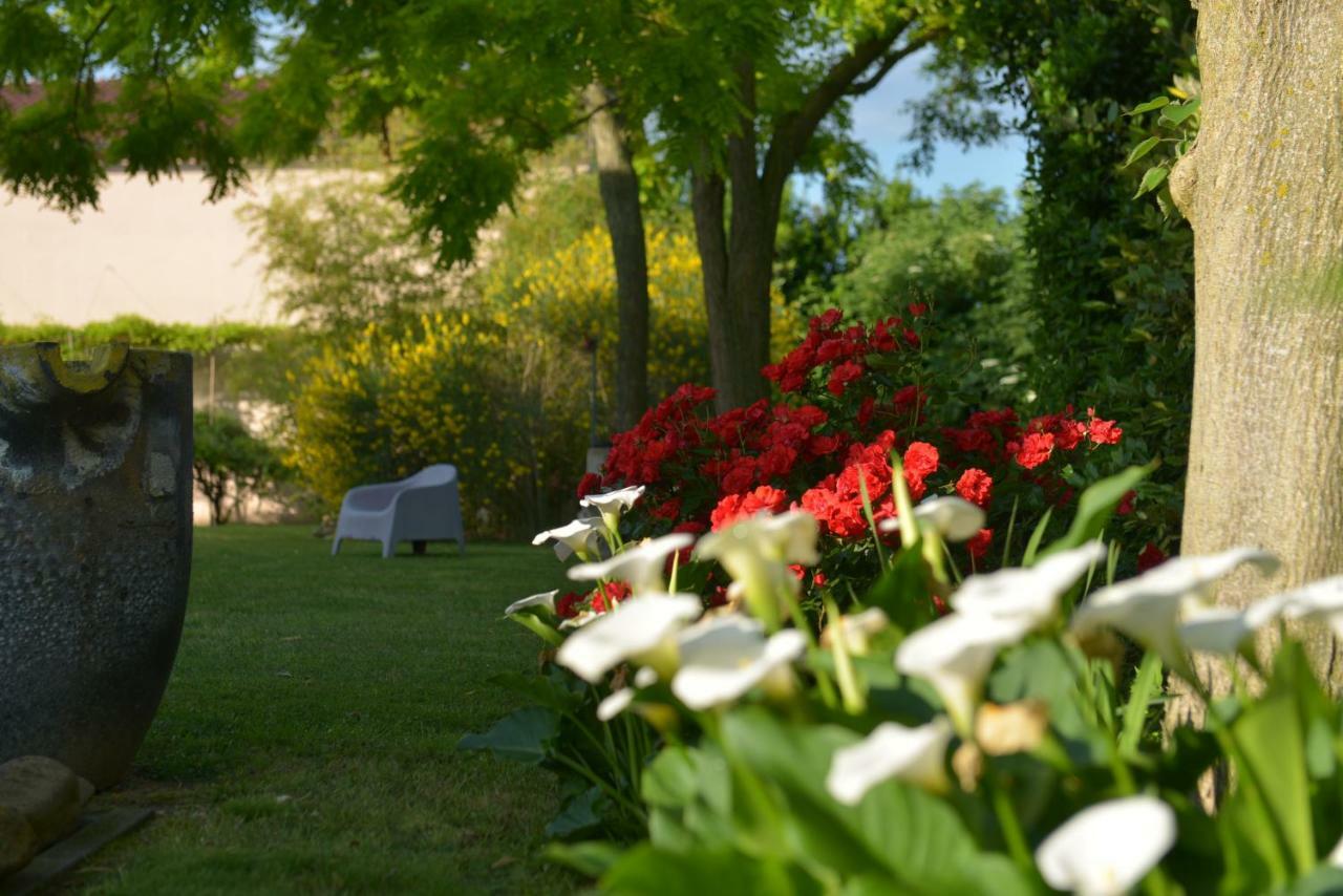 B&B Ca Di Viazadur Фаэнца Экстерьер фото