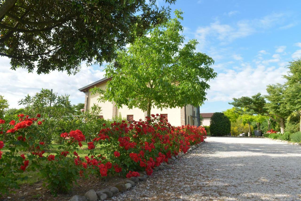 B&B Ca Di Viazadur Фаэнца Экстерьер фото